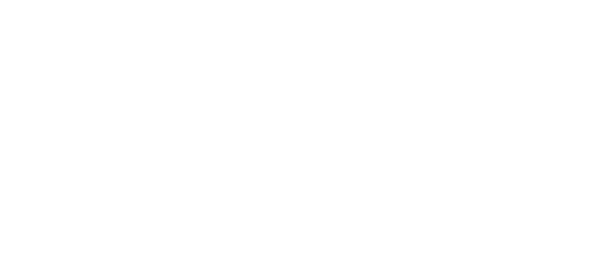 logo m y s-02